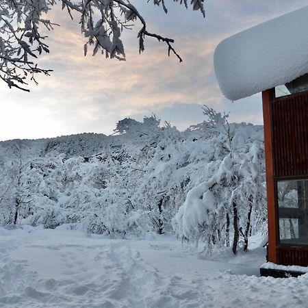 Chalet Cipres Las Trancas Exterior foto