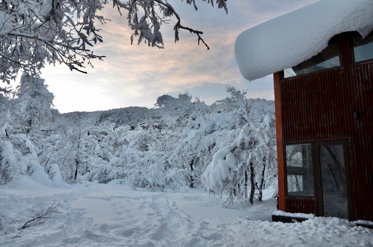 Chalet Cipres Las Trancas Exterior foto