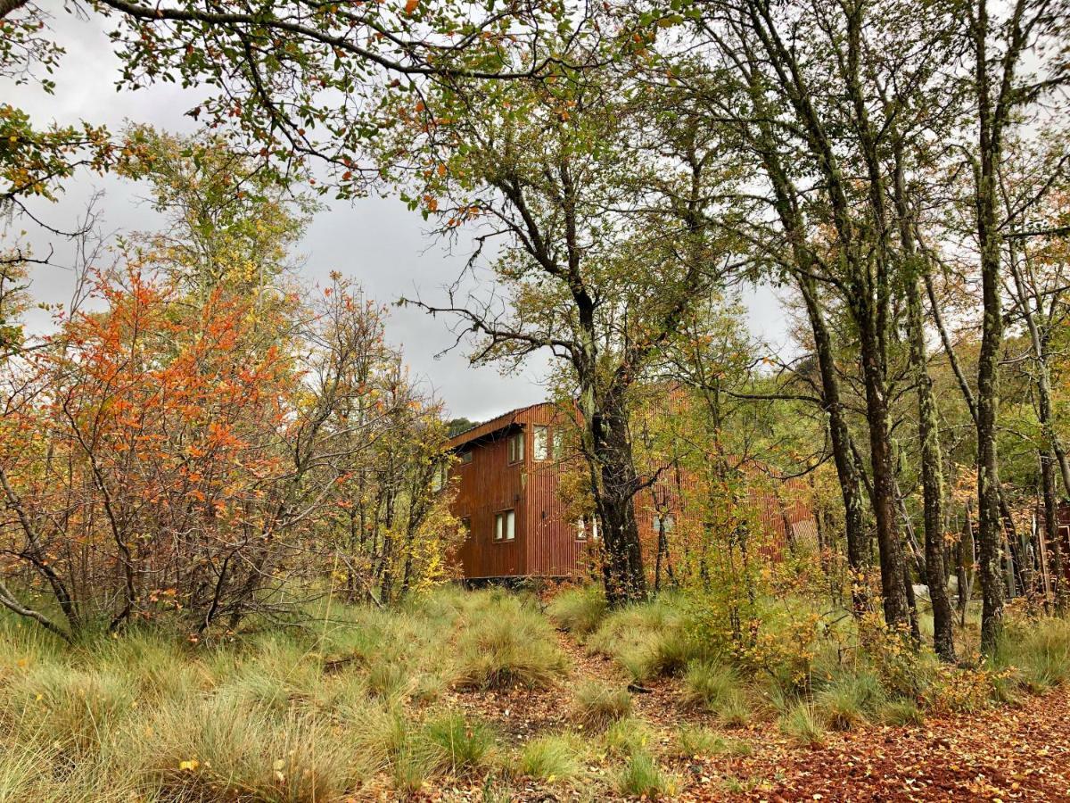 Chalet Cipres Las Trancas Exterior foto